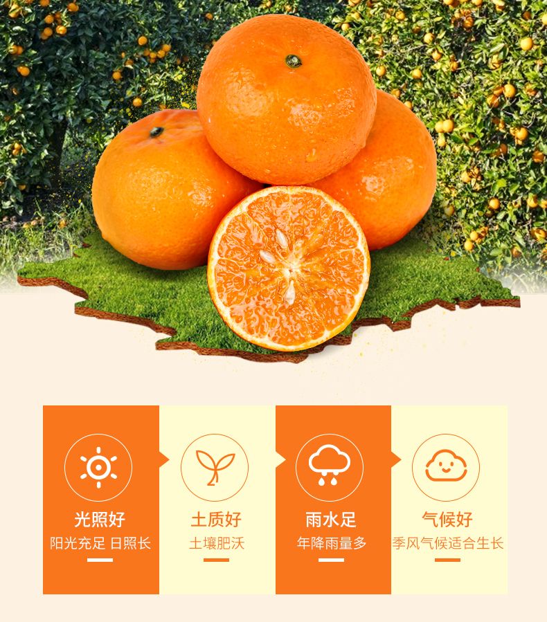 10d64c75-d6d8-447d-b2d5-75a9c5d67132